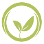 DevvStream Corp.